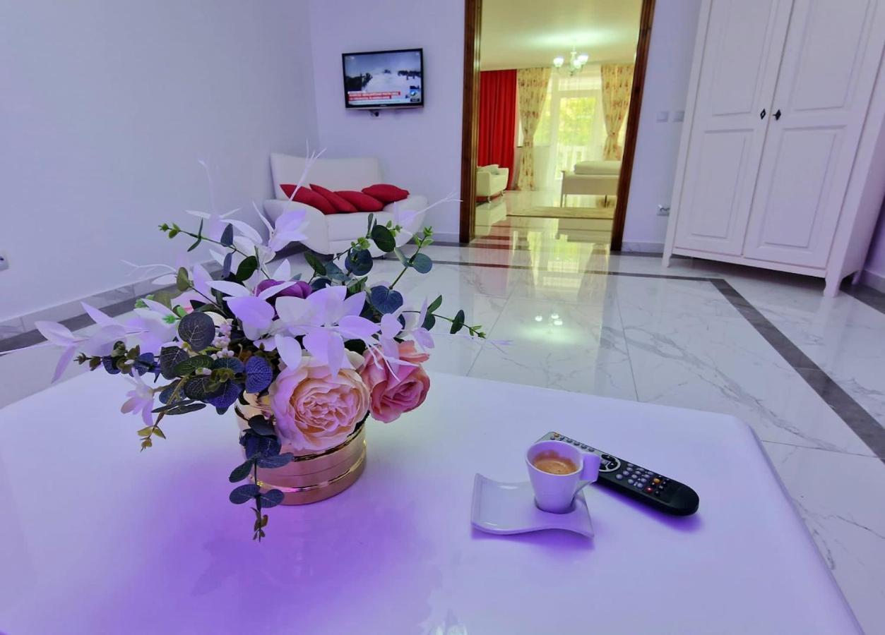 מלון סוצ'ביטה Casa Avram מראה חיצוני תמונה